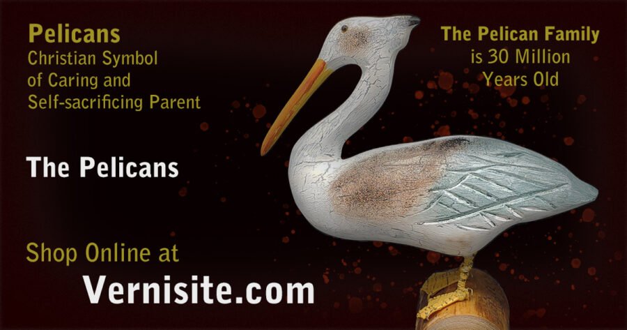 The-Pelicanss-SM
