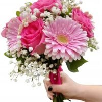 Gerbera Daisy 2