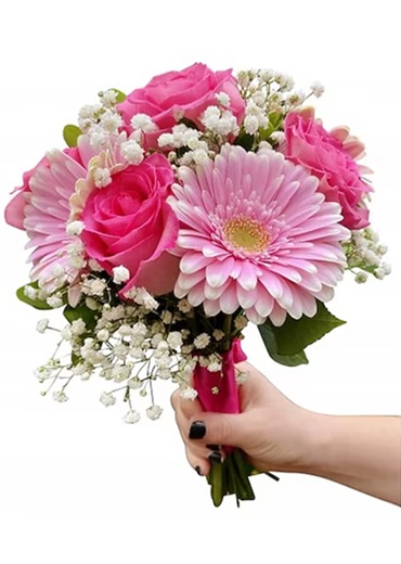 Gerbera Daisy 2