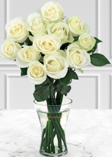 white roses 2