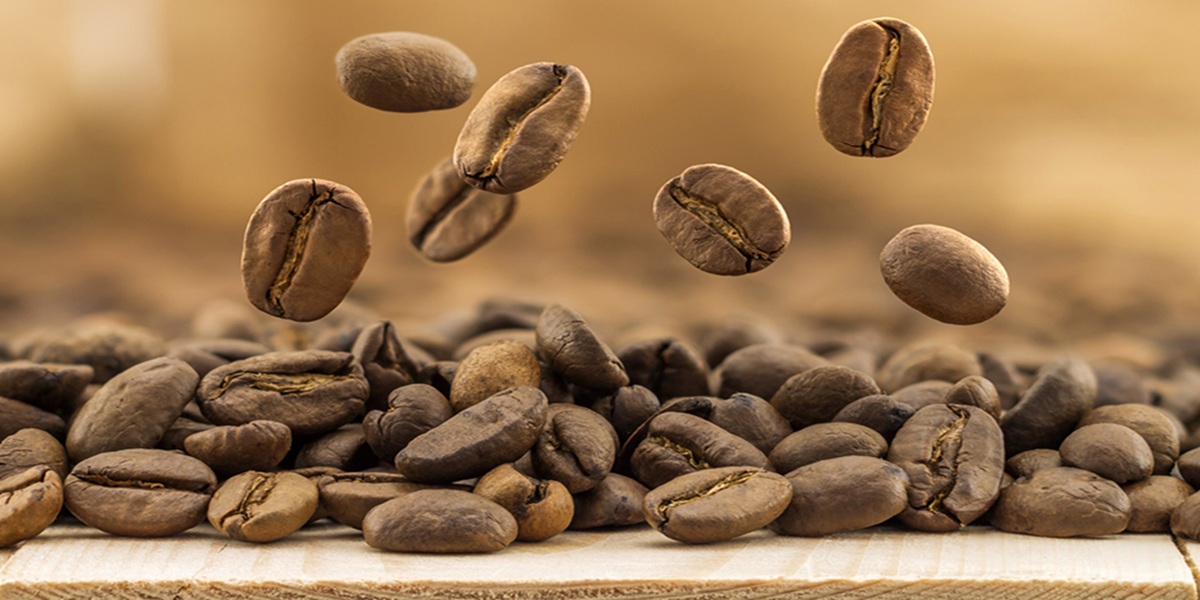 Flying fresh coffee beans as a background with copy space. Coffe