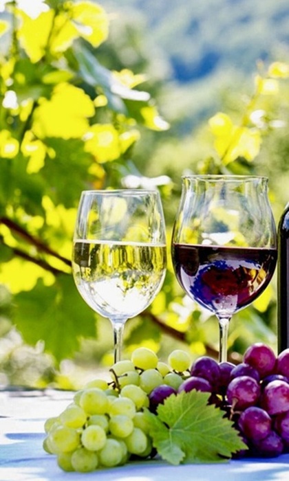 Wine 22