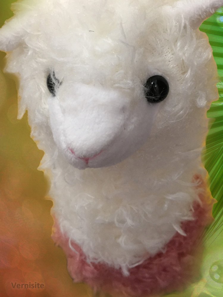 Happy Llama Plush Pillow Dolls Set of 2 – Soft Decorative Cushions - Image 6